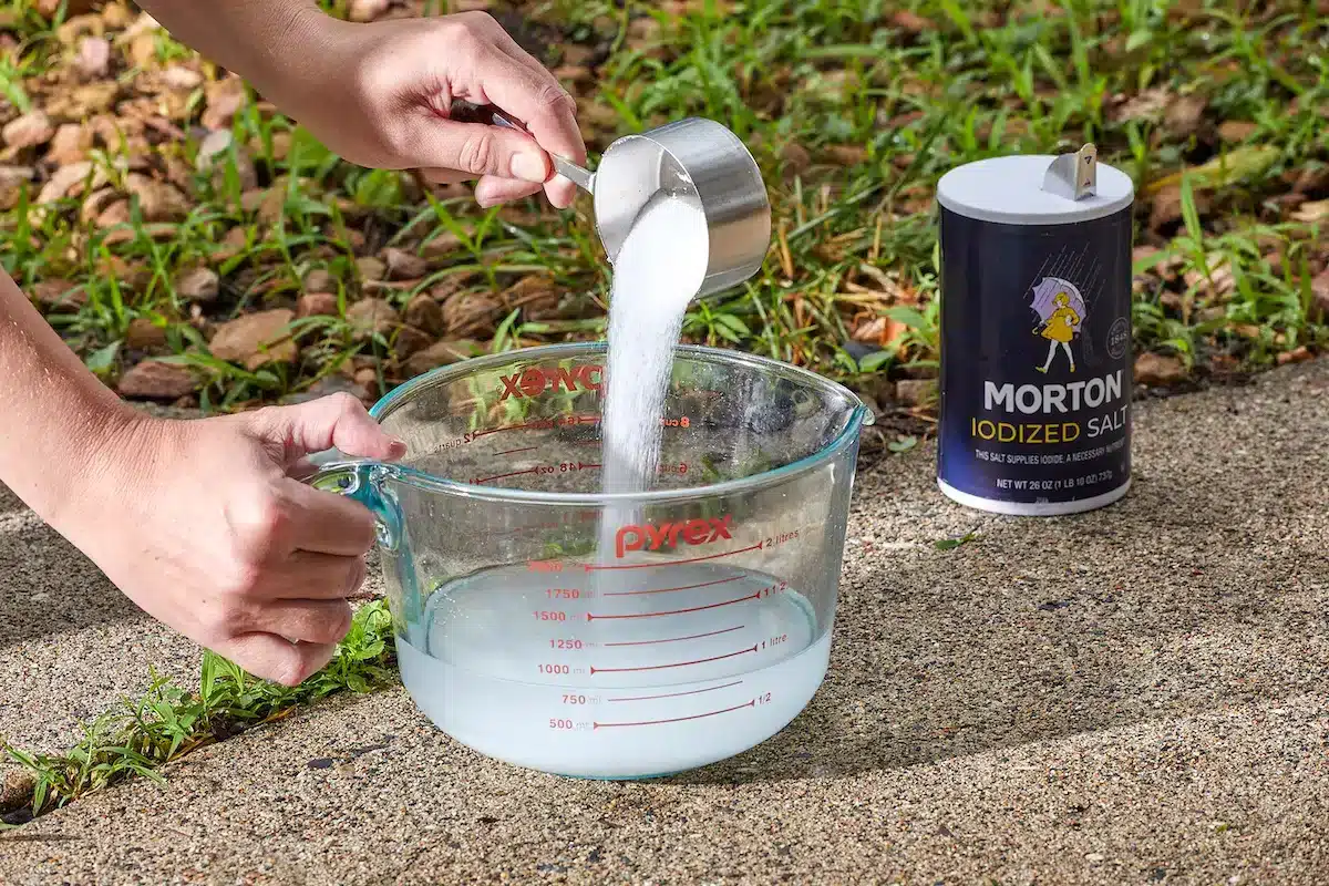 my recipe for making a very (too) powerful weed killer with salt that is extremely economical